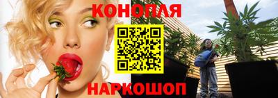 spice Берёзовский